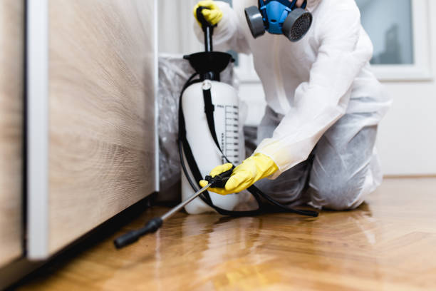  Glade Spring, VA Pest Control Pros