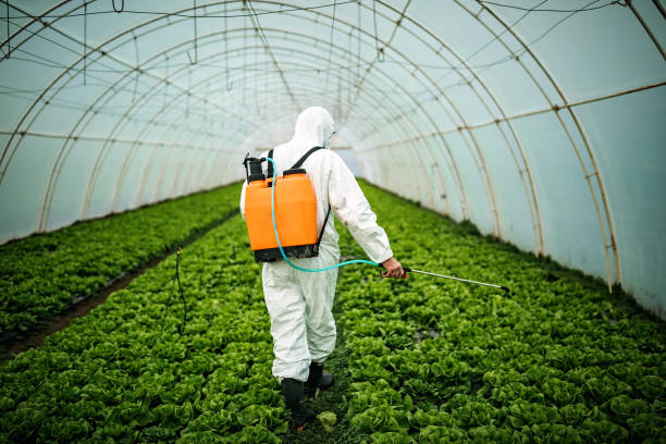 Best Mosquito Control Services  in Glade Spring, VA