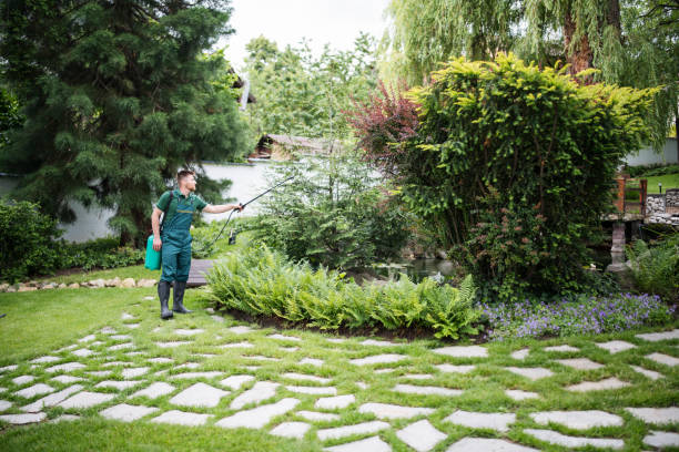 Best Pest Inspection Near Me  in Glade Spring, VA