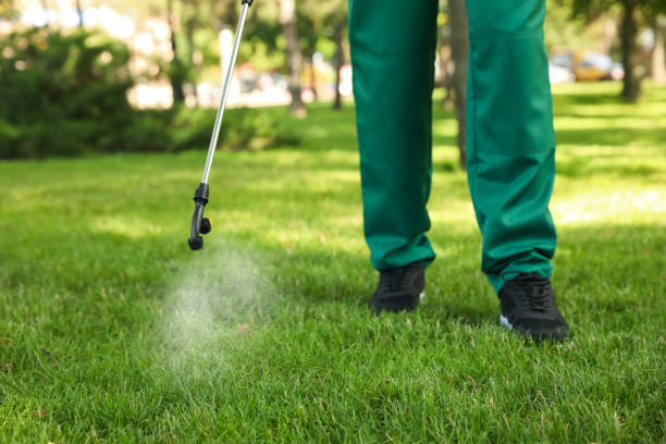 Best Wasp Removal Services  in Glade Spring, VA