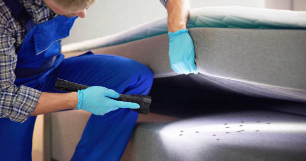 Best Best Pest Control Companies  in Glade Spring, VA